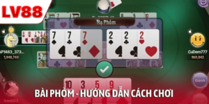 Bài Phỏm – Hướng Dẫn Cách Chơi Tất Tần Tật Từ A Đến Z