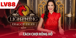 Cách Chơi Rồng Hổ LV88 Đơn Giản, Dễ Thắng Cho Tân Thủ