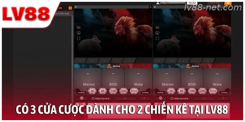 Có 3 cửa cược dành cho 2 chiến kê tại LV88