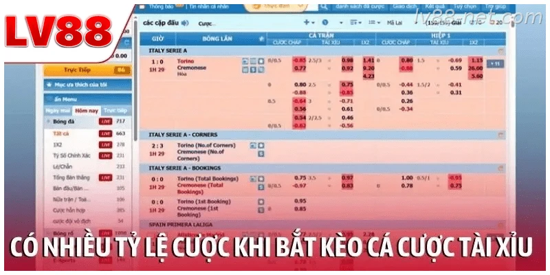 Có nhiều tỷ lệ cược khi bắt kèo cá cược tài xỉu bóng đá