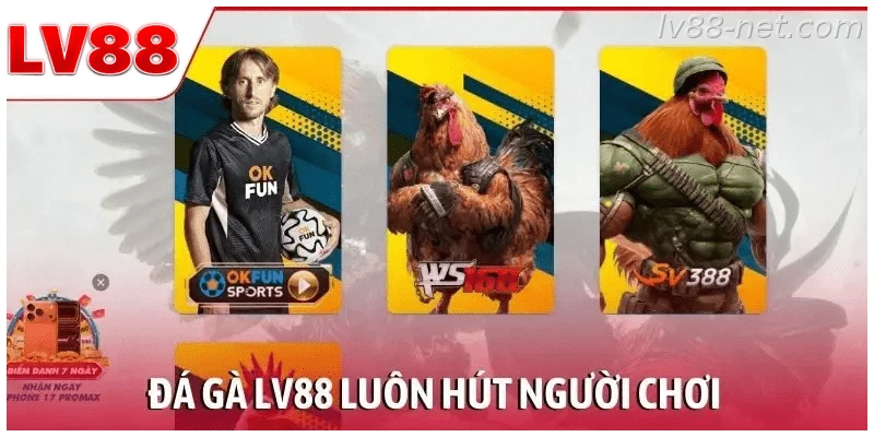 Sảnh đá gà LV88 và các trận đấu được phát trực tiếp