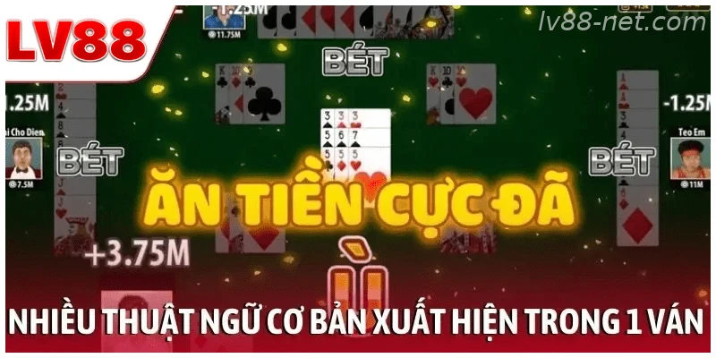 Nhiều thuật ngữ cơ bản xuất hiện trong 1 ván bài Phỏm